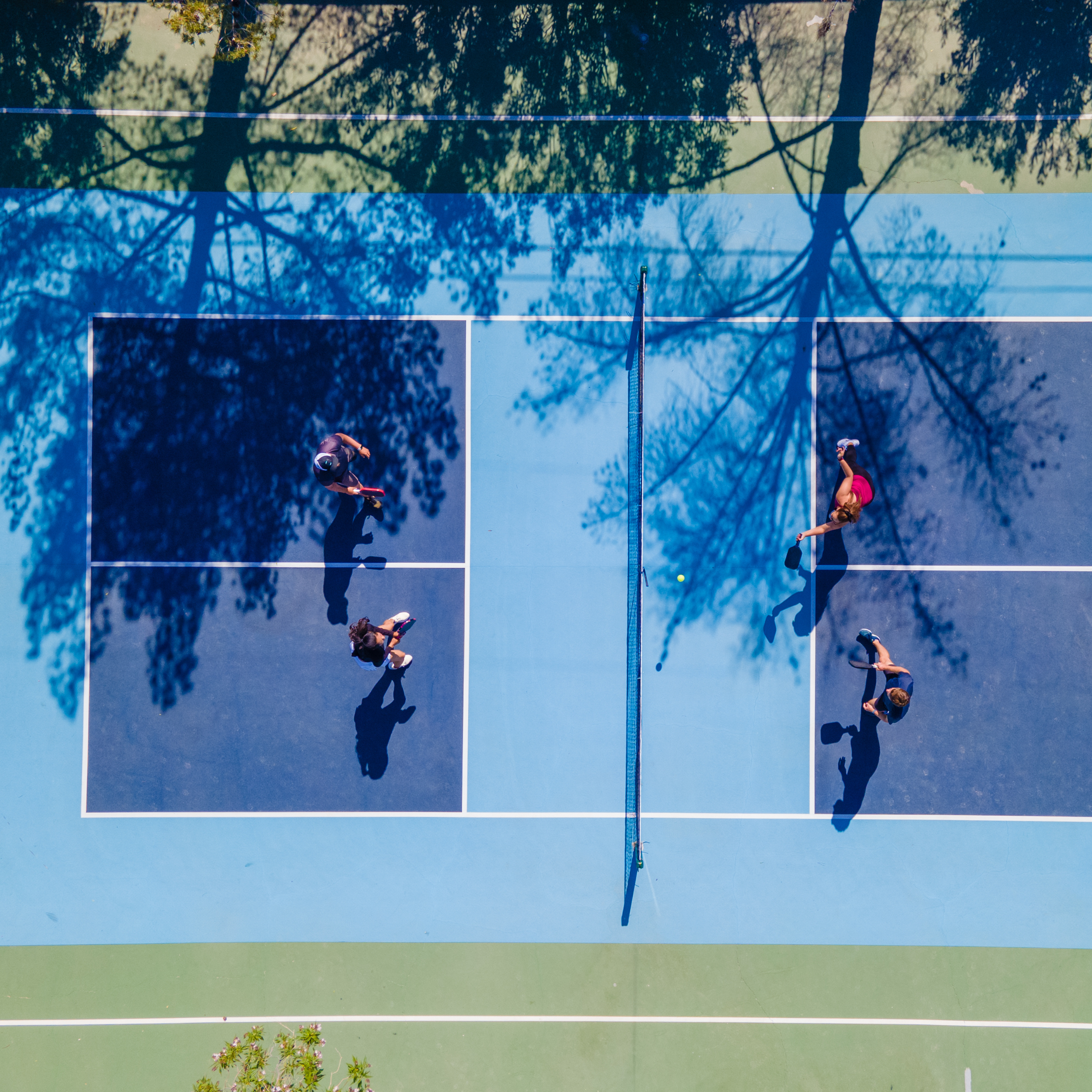 court  raquette pickeball match 